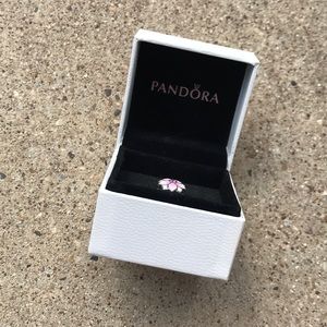 Pandora Magnolia Bloom Ring
